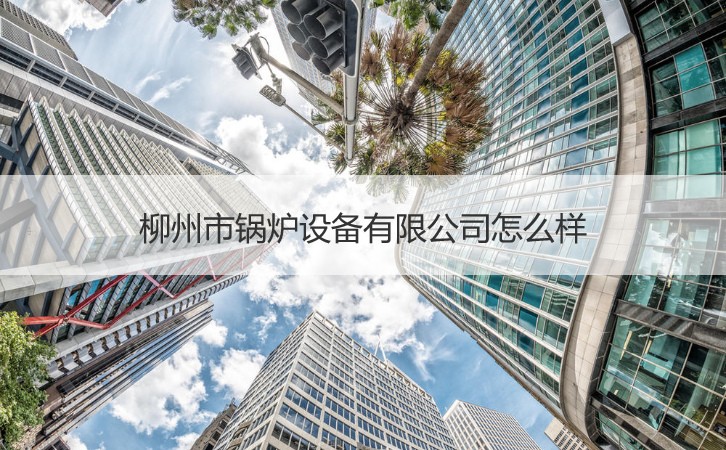 柳州的產(chǎn)業(yè)機(jī)遇 鍋爐設(shè)備、就業(yè)環(huán)境與針紡原料銷(xiāo)售分析